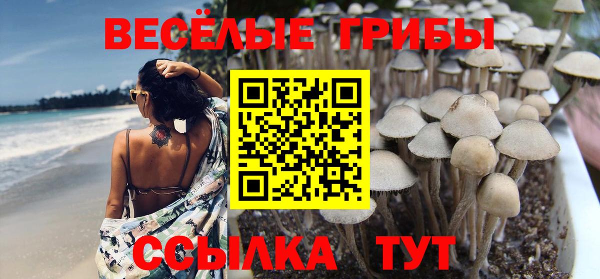 Галлюциногенные грибы MAGIC MUSHROOMS  Вход с VPN  Галлюциногенные грибы ЛСД  Артёмовский 