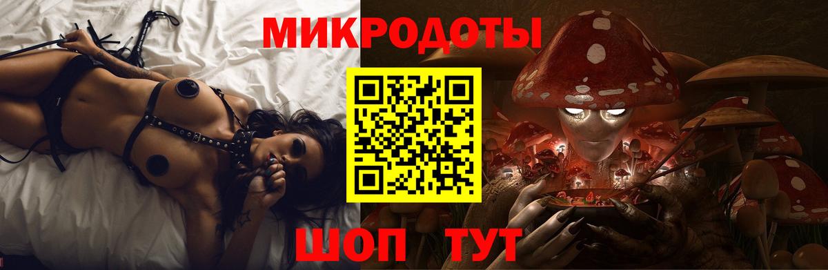 Псилоцибиновые грибы Psilocybine cubensis Артёмовский